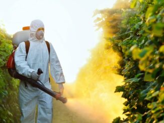 Pesticide use increases cancer rates in humans.