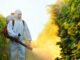 Pesticide use increases cancer rates in humans.