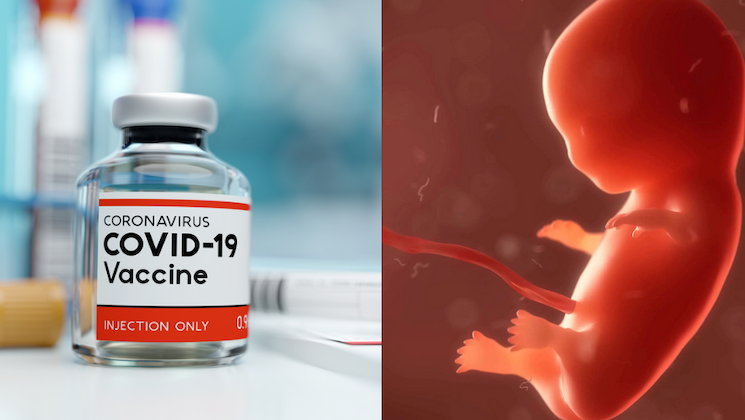 Full List of Vaccines Containing ‘Aborted Fetal Cell Lines’ Leaked Online