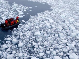 Human emissions have zero impact on climate change, study finds.