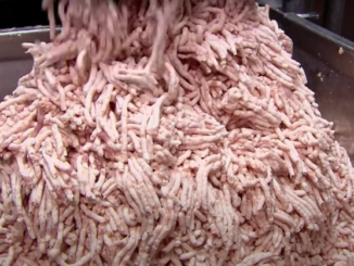 Scientists sound the alarm about dead humans being pumped into the food supply.