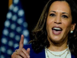 Kamala Harris vows to accelerate WEF's net zero plans for America.
