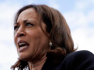 Kamala Harris urges Americans to report friends and family members who believe in conspiracy theories to the authorities.