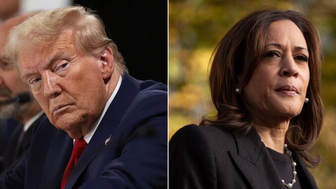 Trump Says Kamala Isn’t Campaigning Because ‘She Knows Something’ the American Public Doesn’t