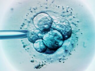 EMBRYO SCRRENING