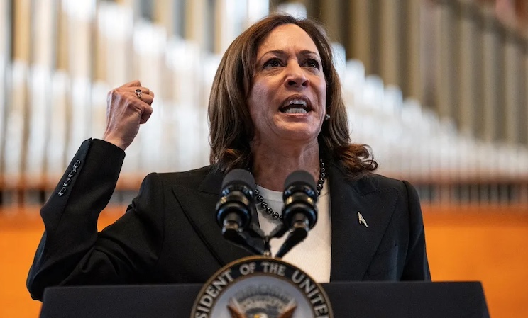 Leaked Kamala Harris Docs Reveal Plot To ‘Kill Musk’s Twitter’ in 2025