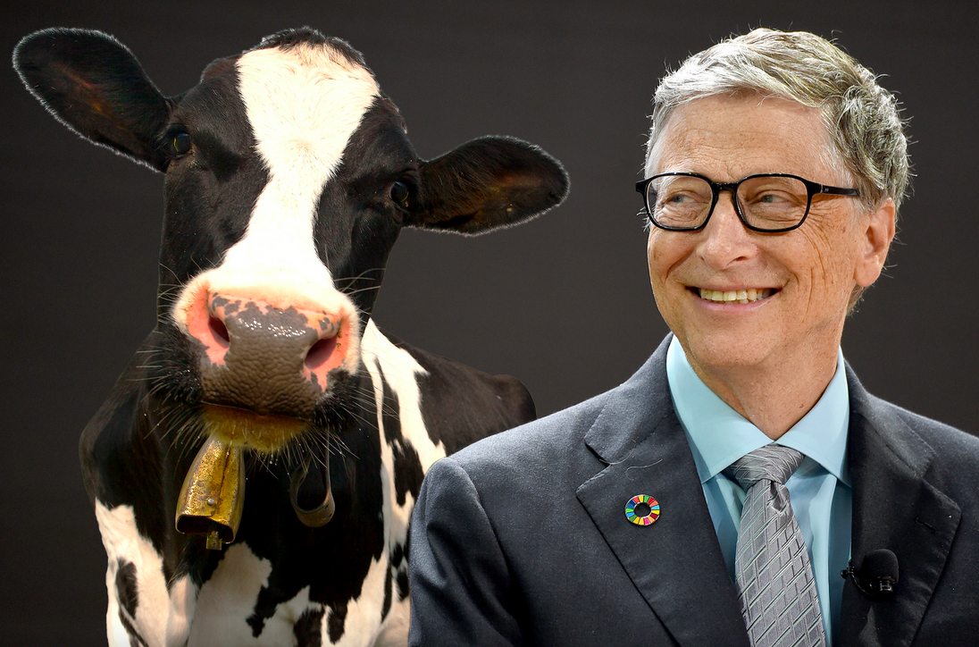 Bill Gates’ New Feed Additive ‘Boaver’ Linked to Male Infertility and Reproductive Damage