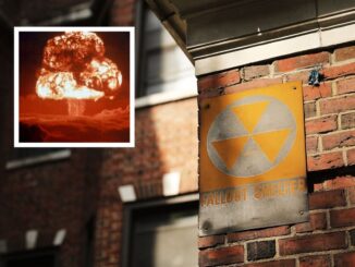 FALLOUT SHELTER