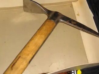 Democrat woman in Seattle arrested after killing her father with ice ax for voting for Trump.