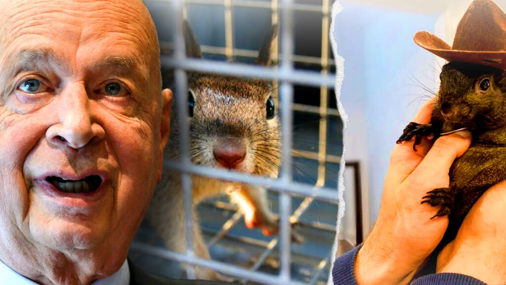 The WEF has urged world governments to begin euthanizing pets owned by citizens with low social credit scores, all under the guise of fighting climate change.