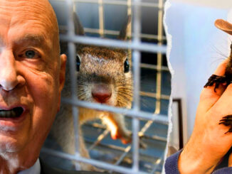 The WEF has urged world governments to begin euthanizing pets owned by citizens with low social credit scores, all under the guise of fighting climate change.