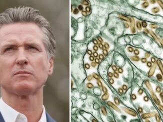 California Gov Bird flu