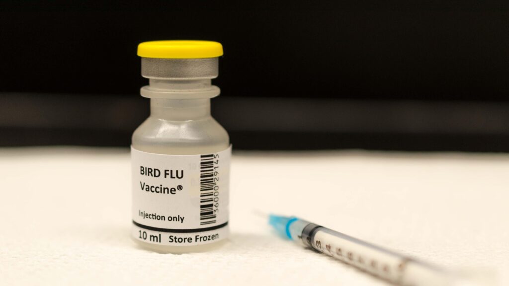 bird flu vaccine
