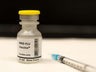 bird flu vaccine