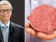 Bill Gates meat linked to depression.