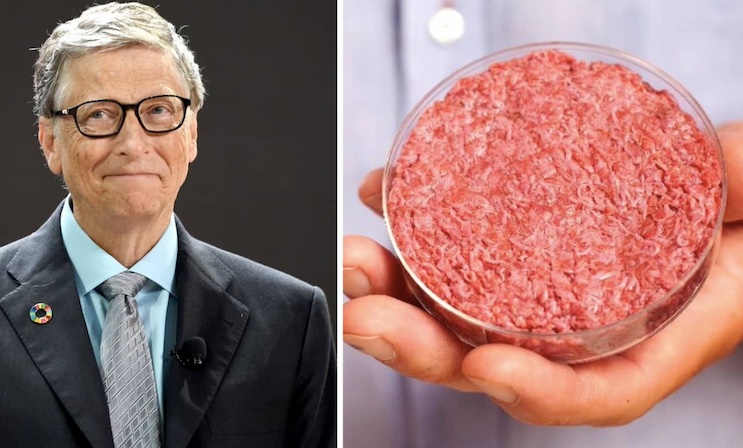 Bill Gates’ Fake Meat Linked to ‘Severe Depression’