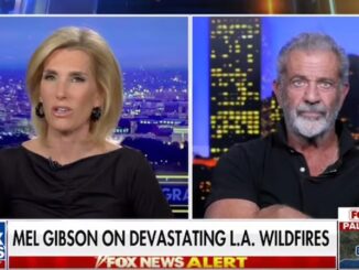 Mel Gibson says LA wildfires are an inside job by the global elite.
