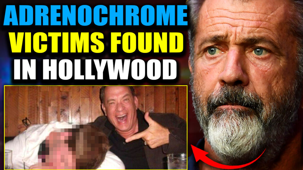 Hollywood ambassador Mel Gibson has vowed to expose and dismantle the child trafficking epidemic and the adrenochrome industry that has plagued Hollywood for decades. But first there are thousands of innocent children to be rescued - children whose lives are on the verge of being destroyed by the pedophile elite of the industry.