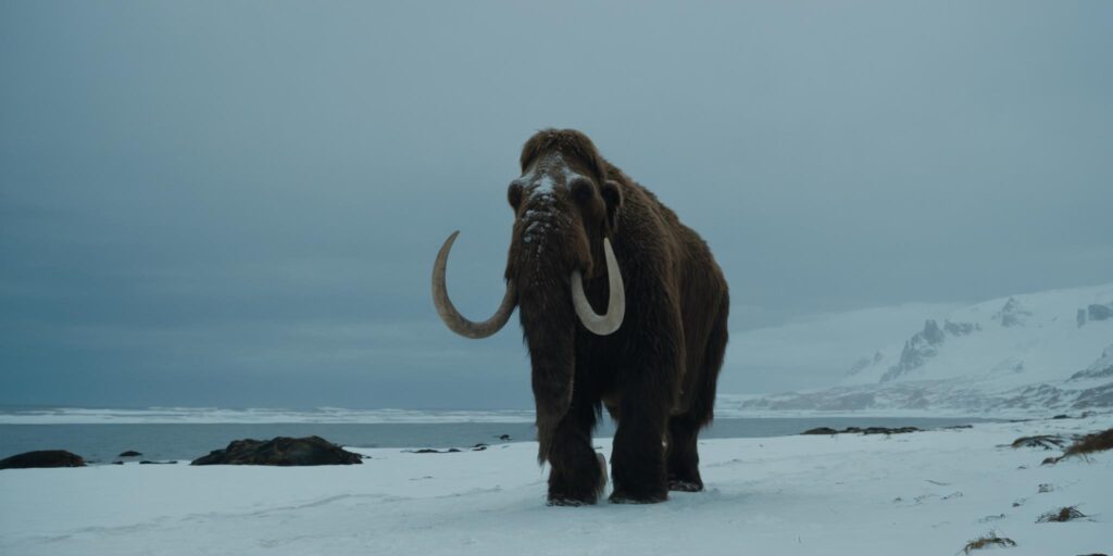 woolly mammoth