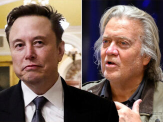 Musk Bannon