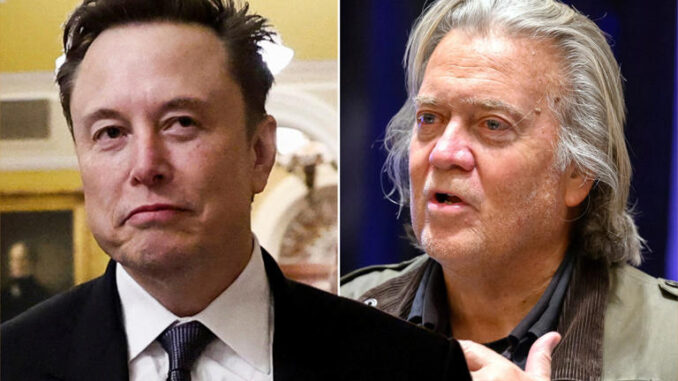 Musk Bannon