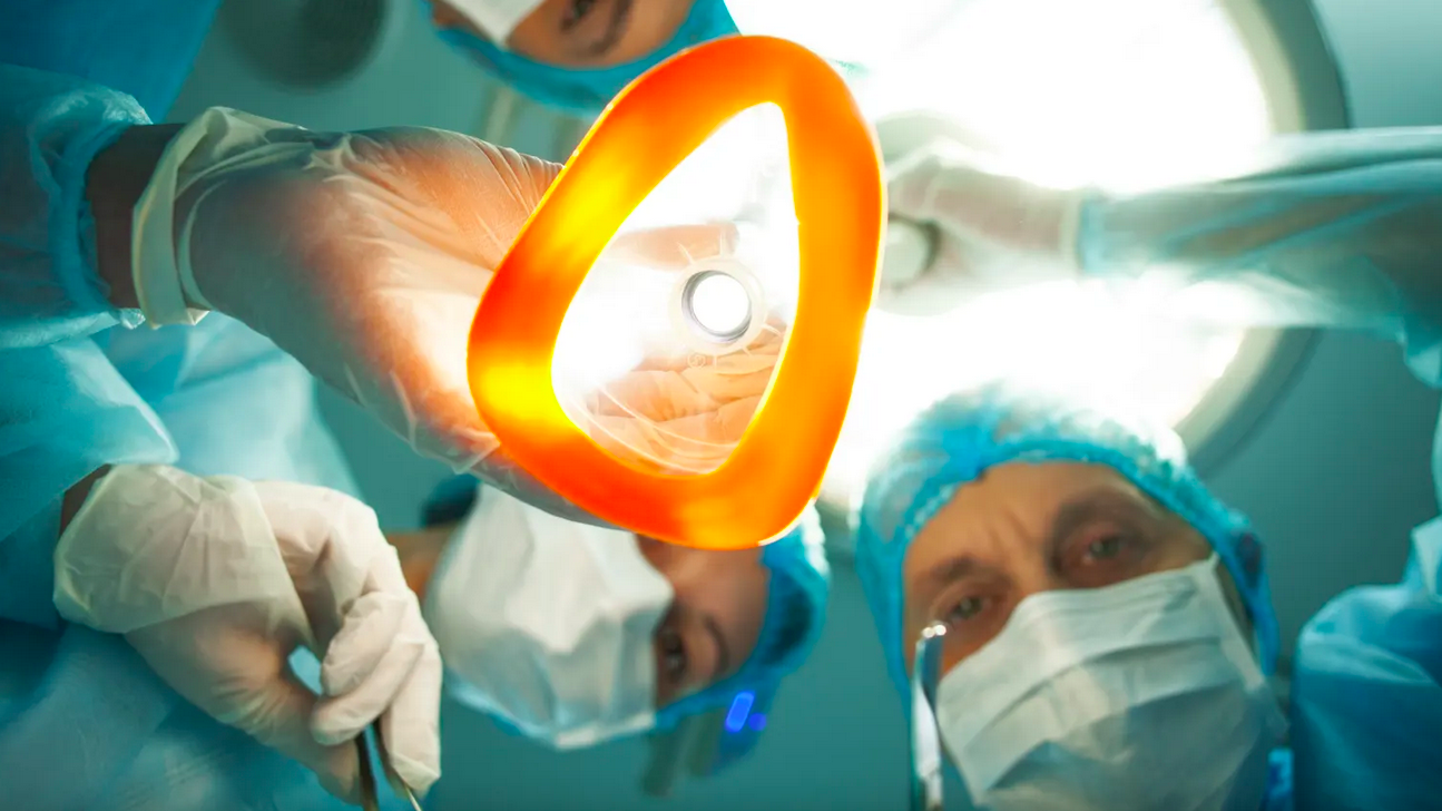 Canadian Doctors Euthanizing ‘Useless’ Citizens to Harvest Organs For the ‘Deserving’