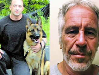 Epstein's cell mate reveals he was offered plea deal if he framed Trump.