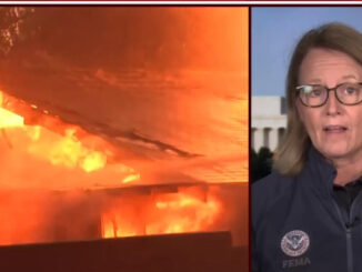 FEMA CHIEF LA WIDFIRES