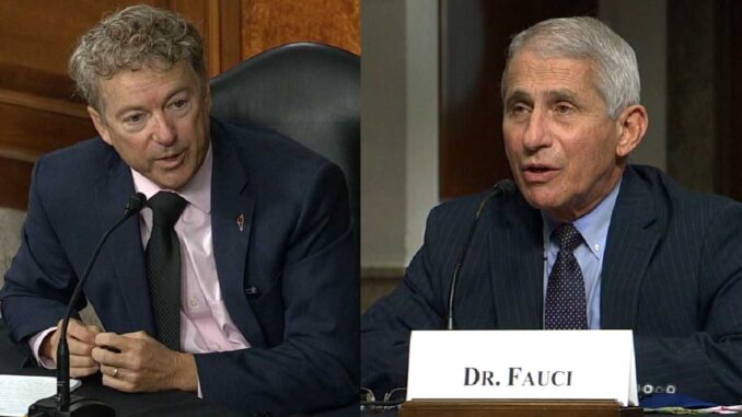 rand paul fauci