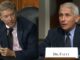 rand paul fauci