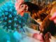 Egg rationing strikes U.S. as experts warn of incoming Bird Flu pandemic.