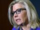 Liz Cheney calls for Elon Musk to be deported for exposing USAID.