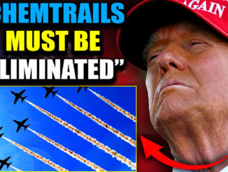 Chemtrail programs are too big to fail—critical to the elites' agenda. So now, they've gone private. America's skies are swarming with unmarked planes, flying off-radar, breaching airspace, and unleashing their payloads on an unsuspecting public.