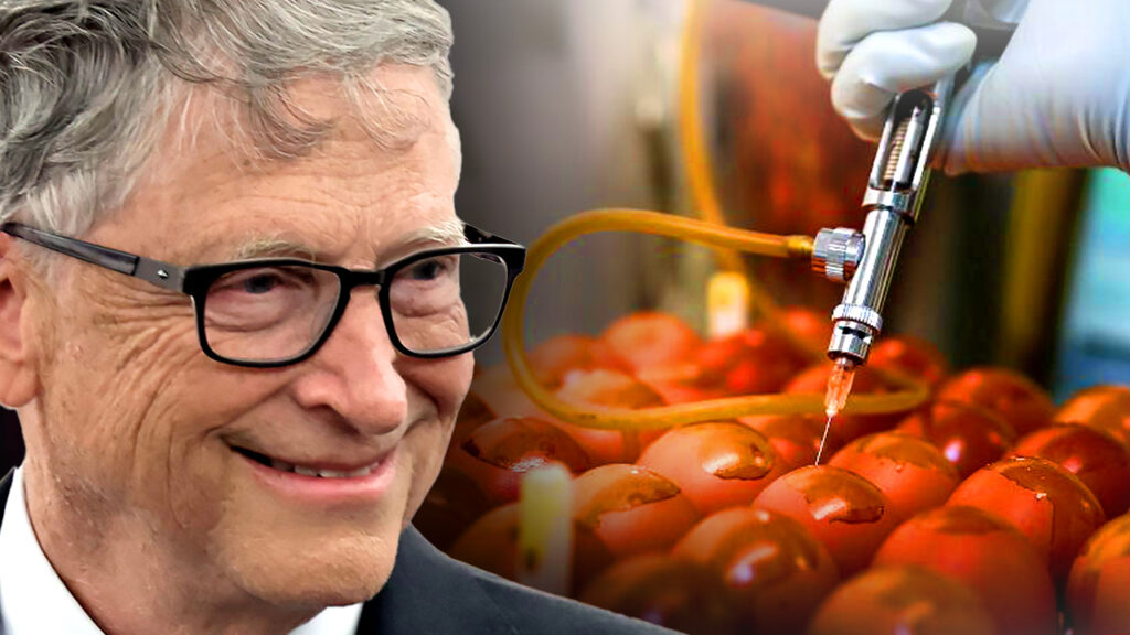 Today, we’re exposing a chilling conspiracy unfolding right before our eyes. The USDA has destroyed billions of eggs—on the advice of none other than America's largest farmland owner, Bill Gates.