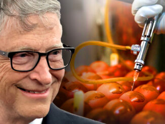 Today, we’re exposing a chilling conspiracy unfolding right before our eyes. The USDA has destroyed billions of eggs—on the advice of none other than America's largest farmland owner, Bill Gates.