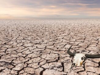 USAID documents reveals plans to engineer a global famine.