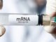 Lawmakers in several states make mRNA illegal.