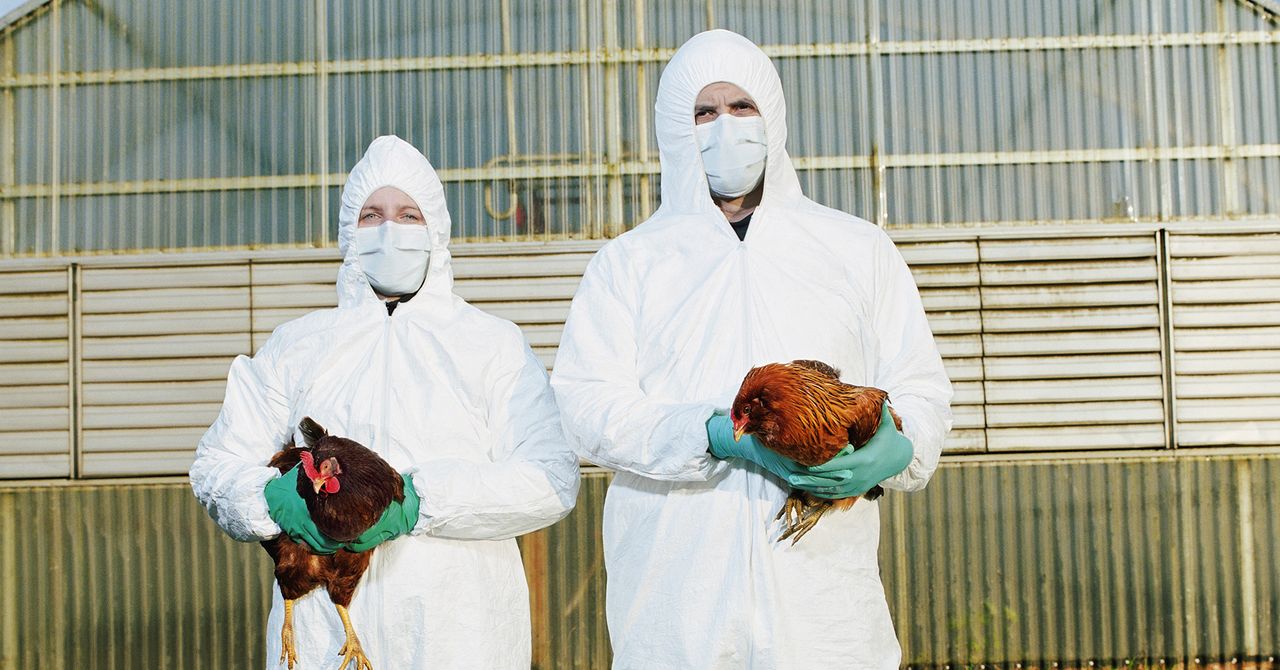 RFK Jr Warns USDA’s ‘Leaky Vaccine’ Scheme Will Supercharge Bird Flu into ‘Deadlier’ Virus