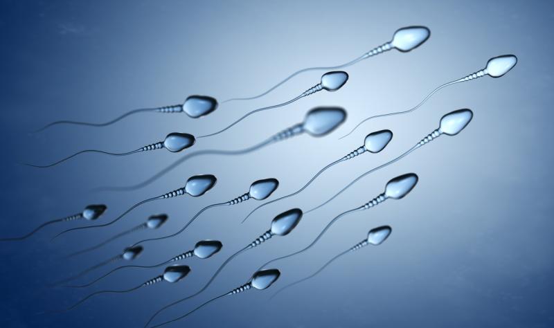 The Sperm of Covid “Vaccinated” Men Don’t Swim, Infertility Clinics Report