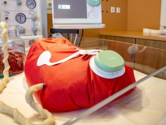 WEF scientists growing humans to use as meat.