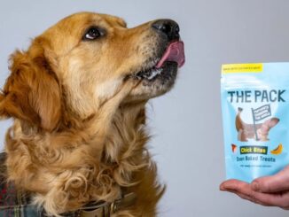 UK becomes first country to force pets to eat Bill Gates' lab grown meat.