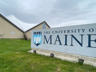 University of Maine bans biological men from women's sports.