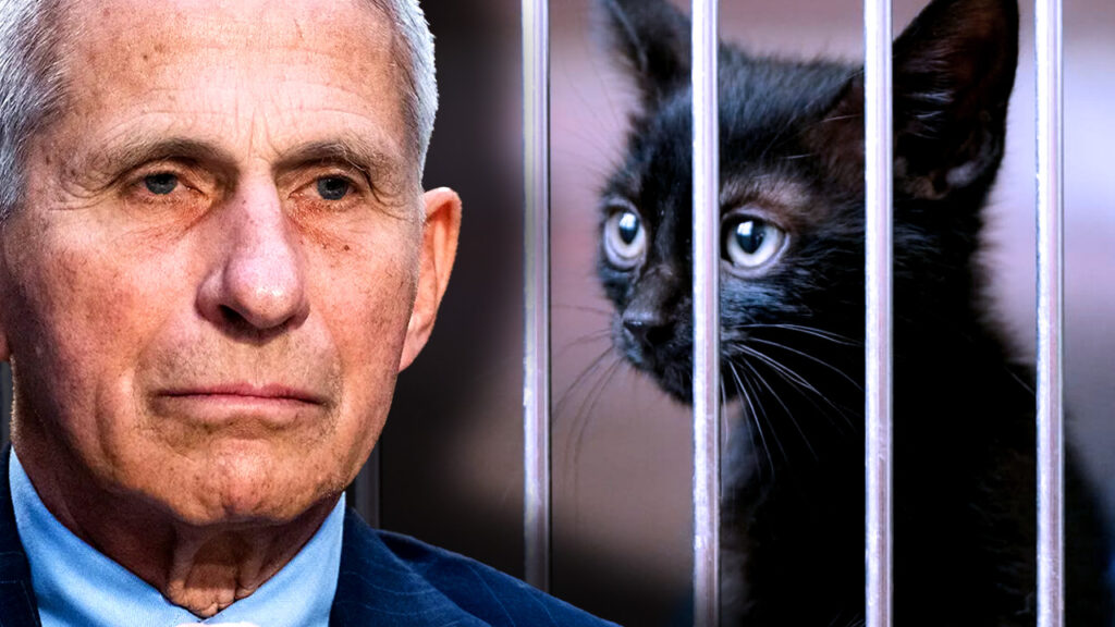 Anthony Fauci, the former NIH kingpin has slithered back into the spotlight, this time with his sights set on your furry companions.