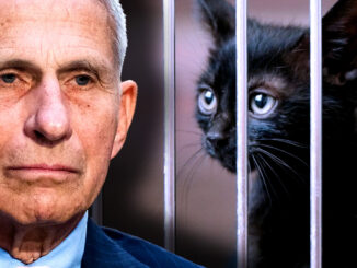 Anthony Fauci, the former NIH kingpin has slithered back into the spotlight, this time with his sights set on your furry companions.