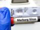 marburg virus