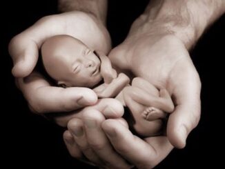 Dems had over one million abortions in 2024.