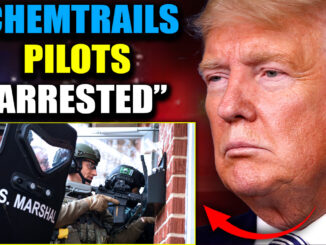 For decades, they told us we were crazy. They said those grid-like streaks in the sky were just condensation… nothing more than harmless trails left by passing jets.