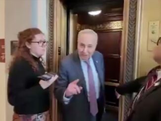 Chuck Schumer praises violent attacks against Tesla.