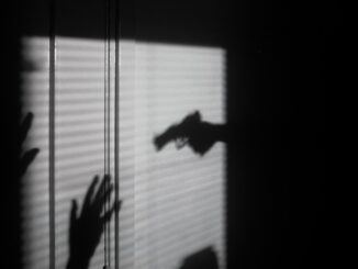murder prediction program