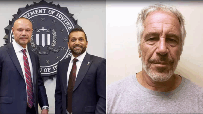 Megyn Kelly: Bongino and Patel ‘Looked Like Hostages’ While Claiming Epstein Killed Himself